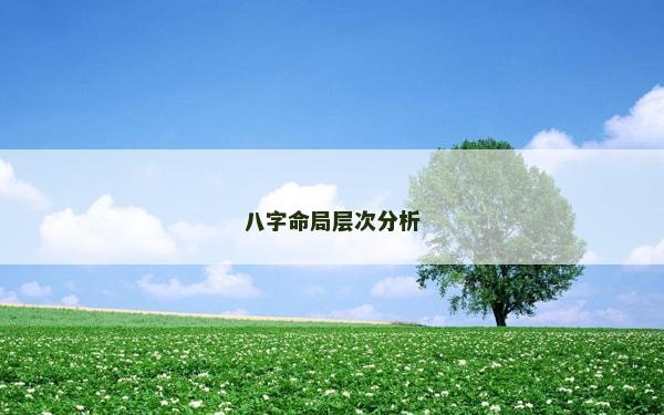 八字命局層次分析