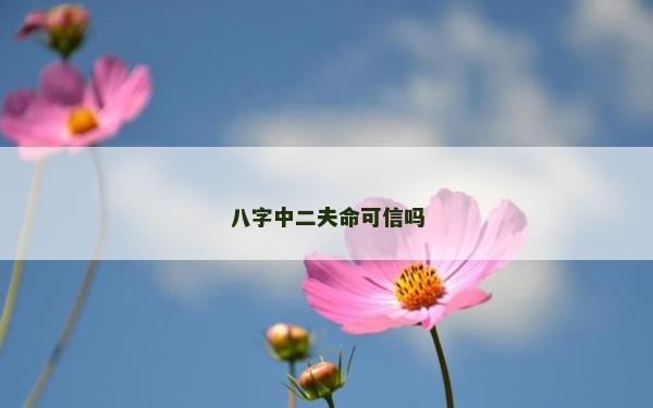 八字中二夫命可信嗎