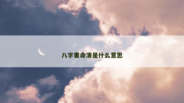 八字里命清是什么意思