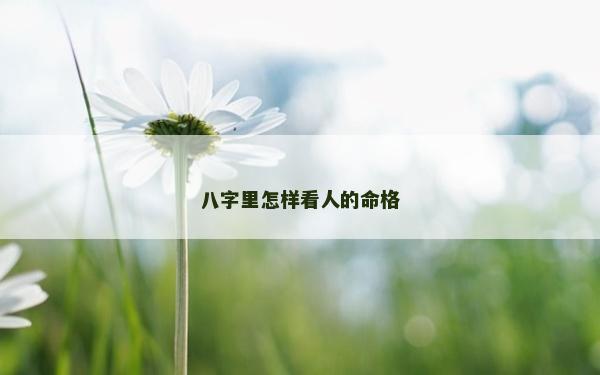 八字里怎樣看人的命格