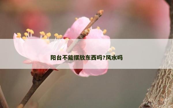 陽臺(tái)不能擺放東西嗎?風(fēng)水嗎