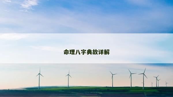 命理八字典故詳解
