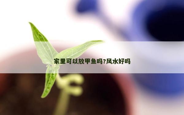 家里可以放甲魚嗎?風水好嗎