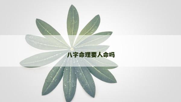 八字命理要人命嗎
