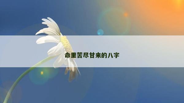 命里苦盡甘來的八字