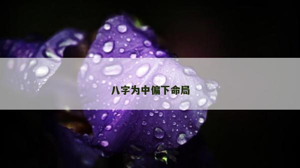八字為中偏下命局