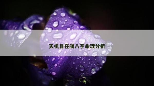天機(jī)自在閣八字命理分析