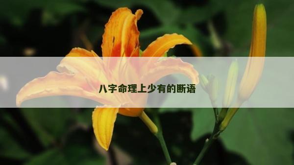 八字命理上少有的斷語