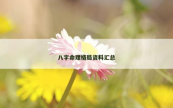 八字命理格局資料匯總