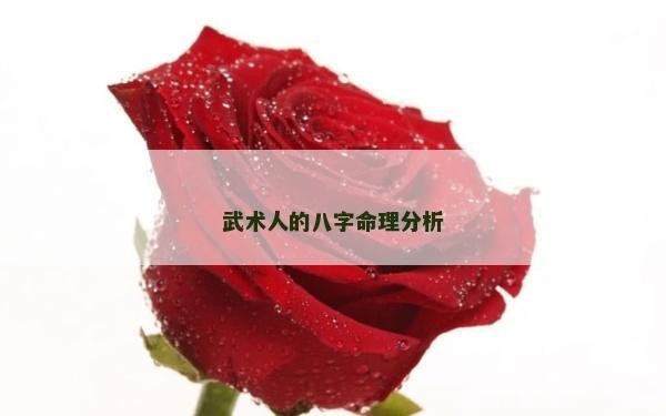 武術人的八字命理分析