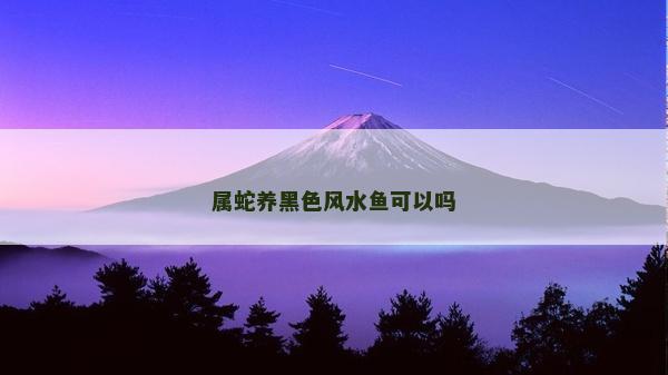 屬蛇養黑色風水魚可以嗎
