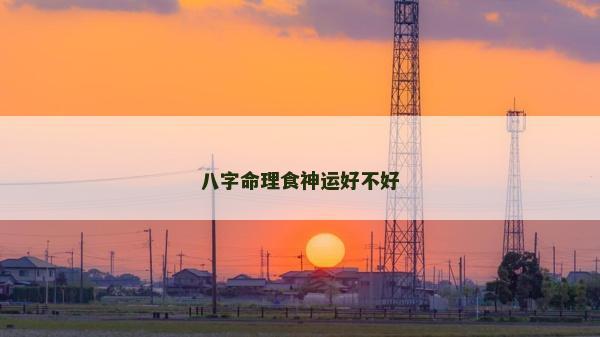 八字命理食神運好不好
