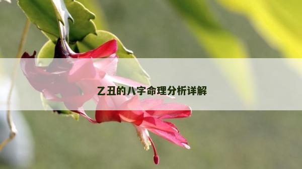 乙丑的八字命理分析詳解