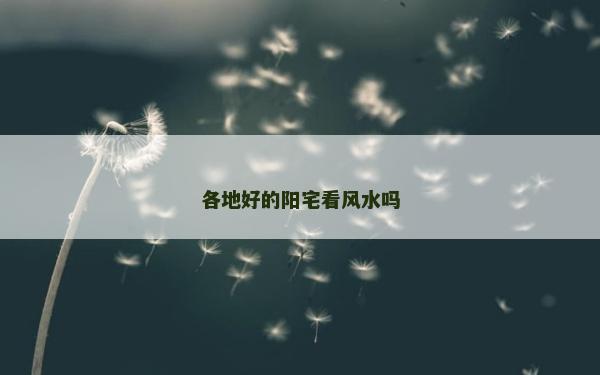 各地好的陽(yáng)宅看風(fēng)水嗎