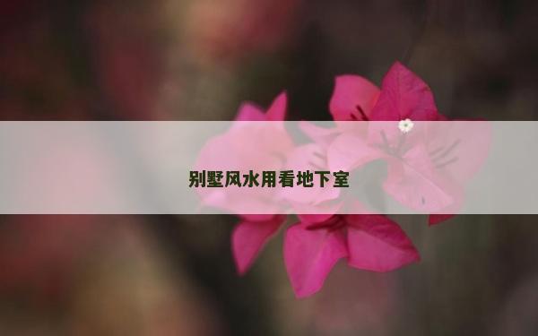 別墅風水用看地下室