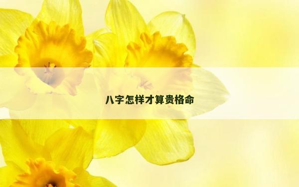 八字怎樣才算貴格命