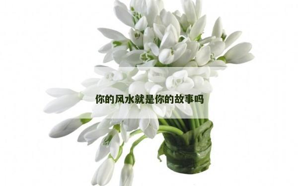 你的風水就是你的故事嗎