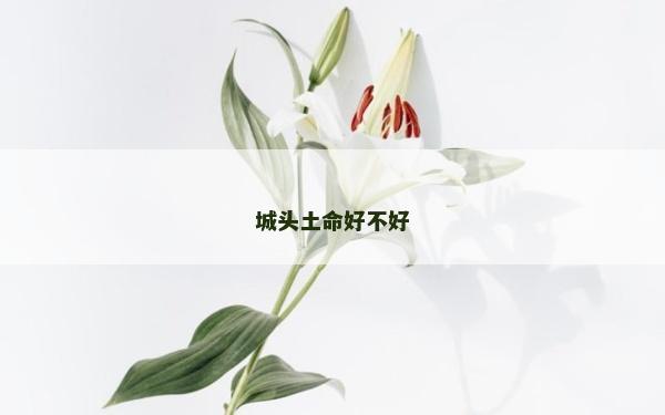 城頭土命好不好