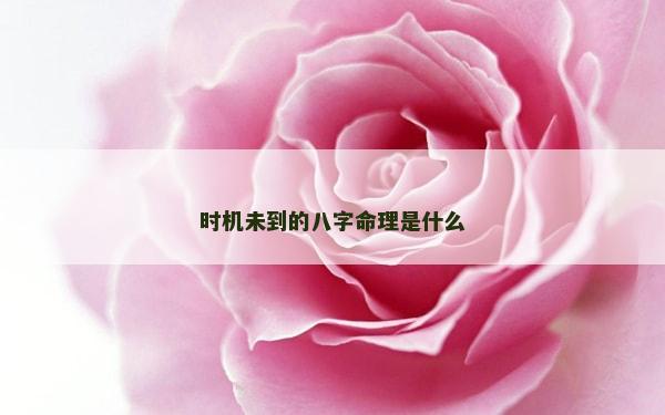 時機未到的八字命理是什么