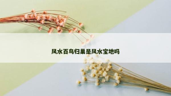 風水百鳥歸巢是風水寶地嗎