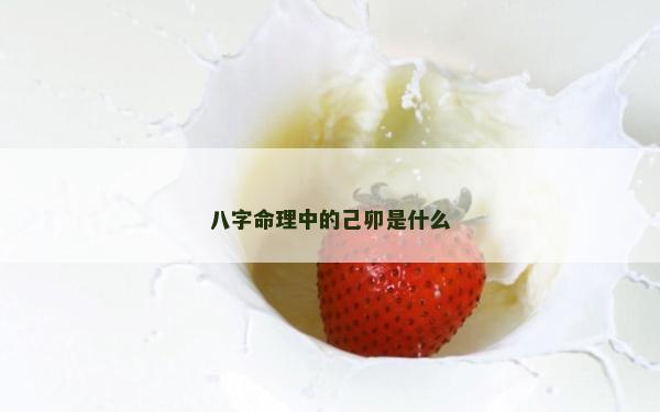 八字命理中的己卯是什么