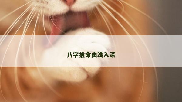 八字推命由淺入深