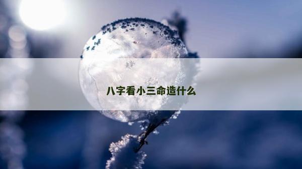 八字看小三命造什么
