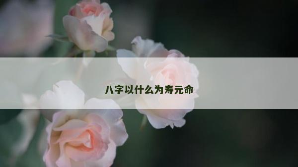 八字以什么為壽元命