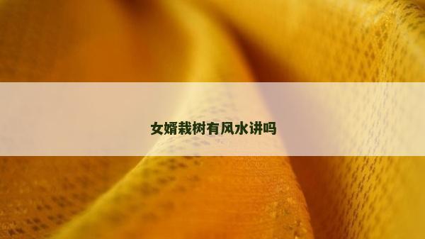 女婿栽樹有風水講嗎