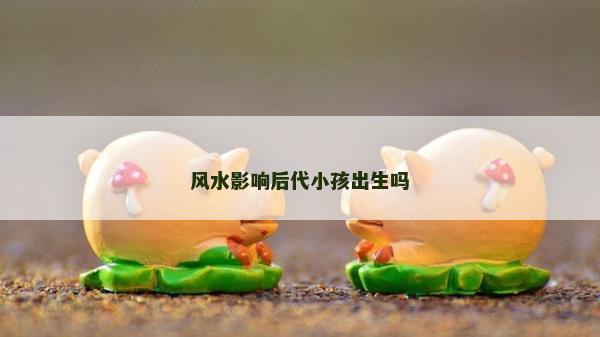 風水影響后代小孩出生嗎