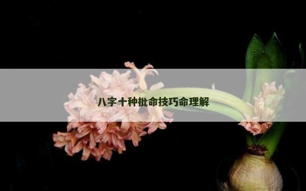 八字十種批命技巧命理解
