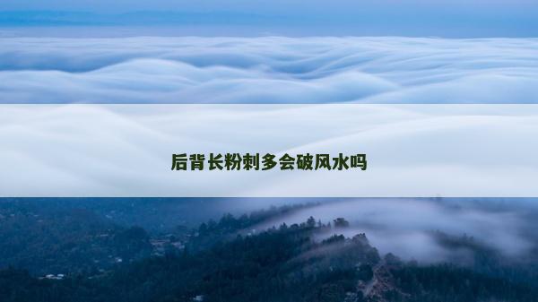 后背長粉刺多會破風水嗎