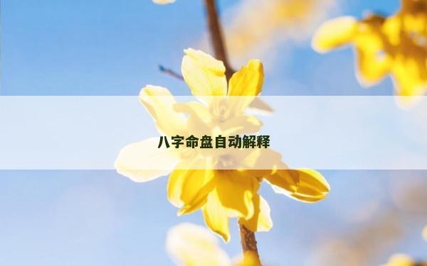 八字命盤自動解釋