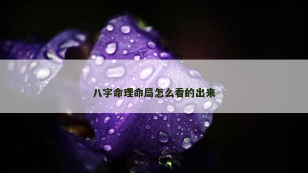 八字命理命局怎么看的出來
