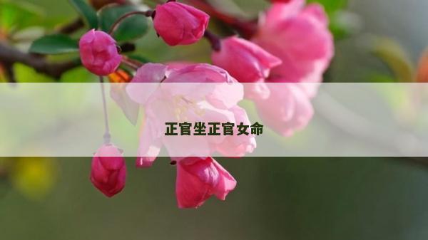 正官坐正官女命