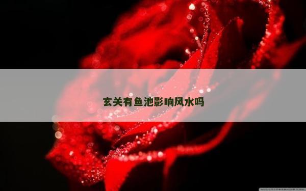 玄關(guān)有魚池影響風(fēng)水嗎
