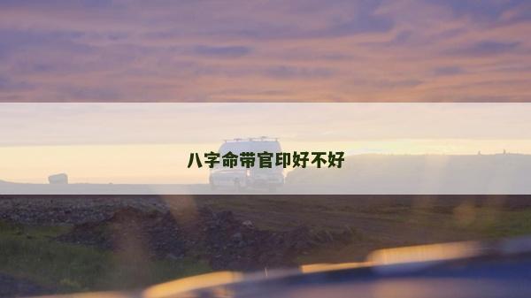 八字命帶官印好不好