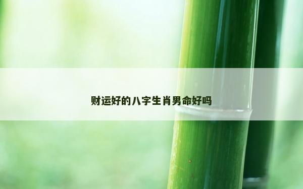 財運好的八字生肖男命好嗎