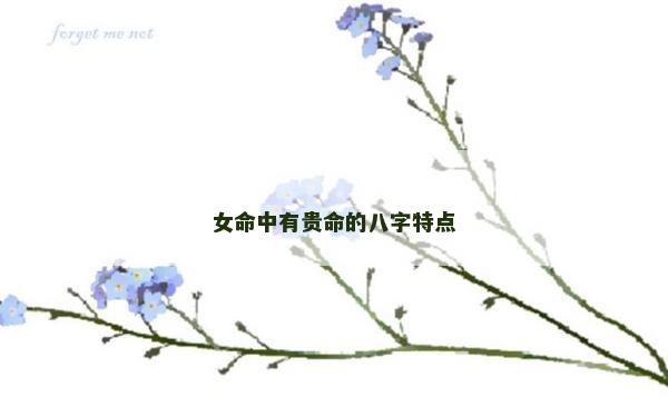 女命中有貴命的八字特點