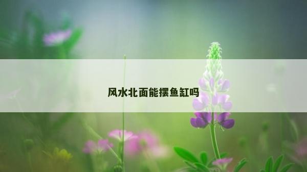 風水北面能擺魚缸嗎