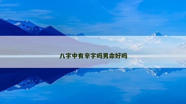 八字中有辛字嗎男命好嗎