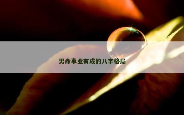 男命事業有成的八字格局