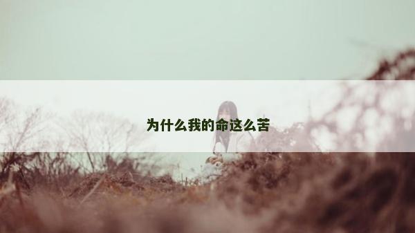為什么我的命這么苦
