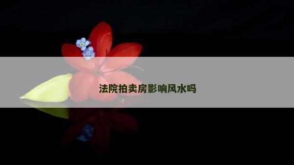 法院拍賣房影響風(fēng)水嗎
