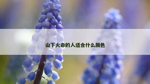 山下火命的人適合什么顏色