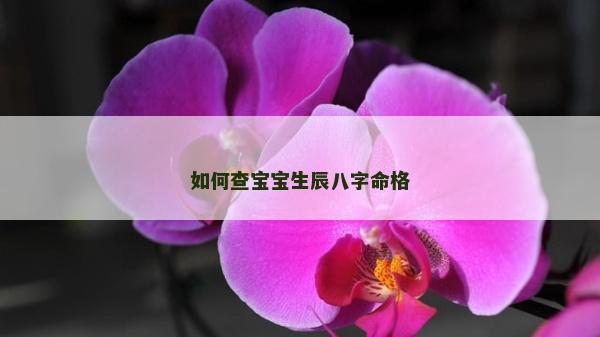 如何查寶寶生辰八字命格