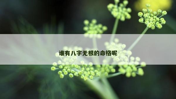 誰有八字無根的命格呢