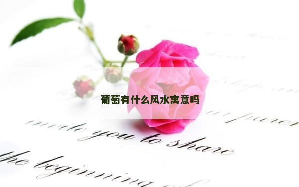 葡萄有什么風水寓意嗎