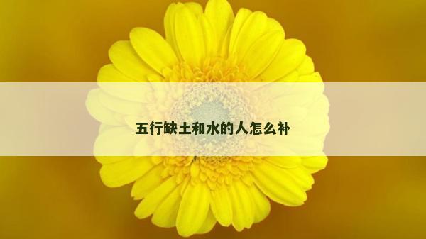 五行缺土和水的人怎么補