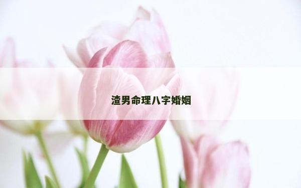 渣男命理八字婚姻